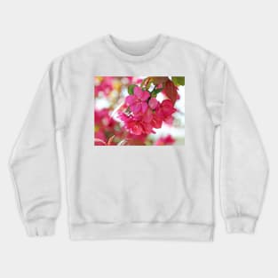 A branch of Crabapple flowers Crewneck Sweatshirt